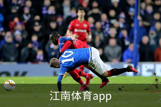 江南体育app公司简介展示图